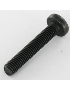 Parafuso de metais cabeça panela TORX T40 M8X45 10.9ZNN480HBSSRR 2