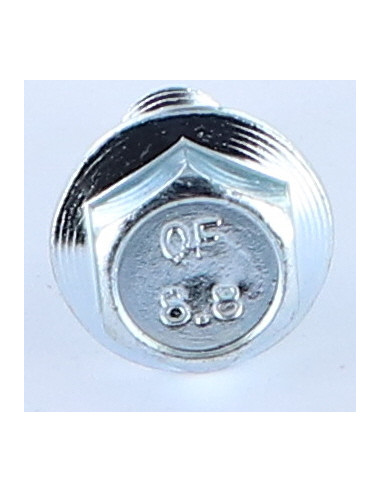 Parafuso de metais cabeça hexagonal M10X16 flange com gola serrilhada Classe 8.8 Aço zinco branco
