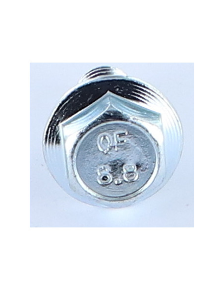 Parafuso de metais cabeça hexagonal M10X16 flange com gola serrilhada Classe 8.8 Aço zinco branco