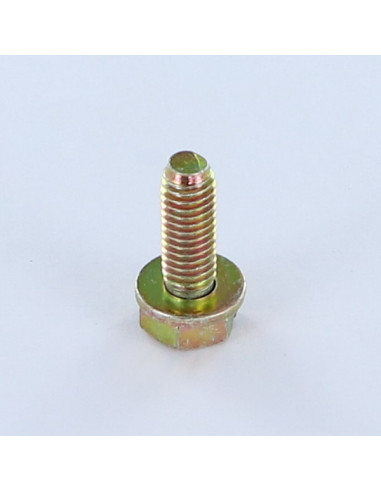 Parafuso de metais cabeça hexagonal ranhurada M6X18 com Rondela Dicromato