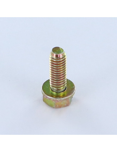 Parafuso de metais cabeça hexagonal ranhurada M6X18 com Rondela Dicromato