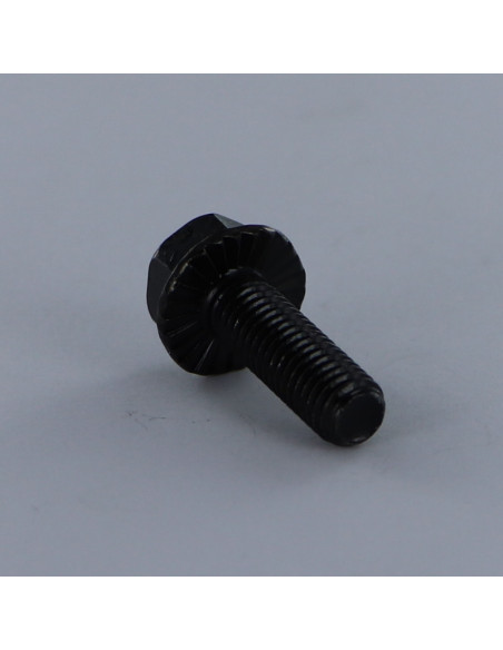 Parafuso de metais cabeça hexagonal M6X25 flange com gola serrilhada Classe 8.8 Aço zinco preto