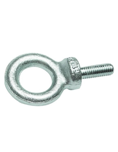 Anilha de elevação MACHO M6 Aço zinco branco - Parafuso Express