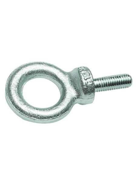 Anilha de elevação MACHO M6 Aço zinco branco - Parafuso Express