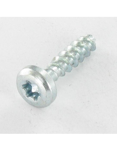 Parafuso de madeira aglomerado cabeça redonda TORX T20 4X16 sem ponta Aço zinco branco