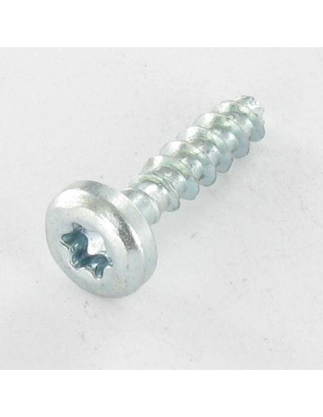 Parafuso de madeira aglomerado cabeça redonda TORX T20 4X16 sem ponta Aço zinco branco