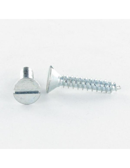 Parafuso de chapa cabeça fresada sulcada 3,9 x 9,5 Aço zinco branco