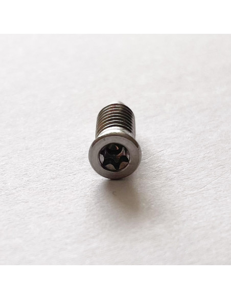 Parafuso de metais cabeça fresada TORX T15 M5X13,5 Aço inoxidável A2