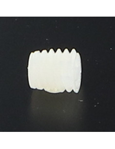 Parafuso de metais Nylon sem cabeça sextavado oco M6X6 perno com ponta biselada junta plana