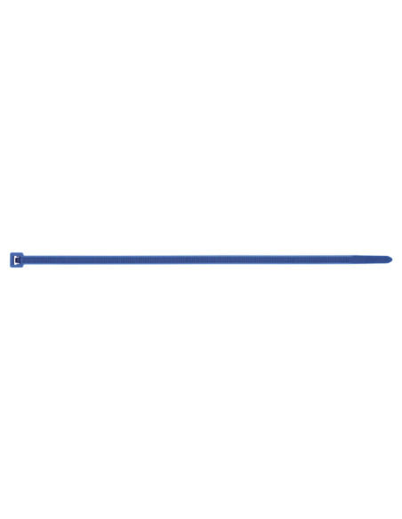 Abraçadeira de aperto em aço inoxidável Nylon azul 4,8X290