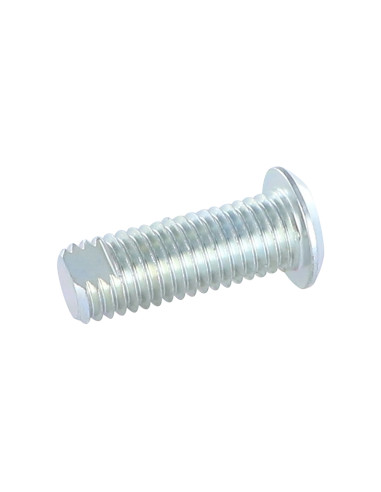 Parafuso de metais Aço zinco branco cabeça cilíndrica 18/33 M 12/30 PLANO