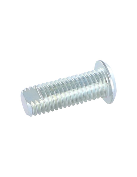 Parafuso de metais Aço zinco branco cabeça cilíndrica 18/33 M 12/30 PLANO