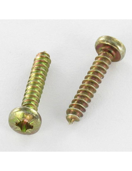 Parafuso de chapa cabeça abaulada larga Pozi 4,2 x 25 Dicromato