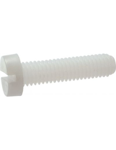 Parafuso de metais cabeça cilíndrica sulcada M10X25 natural nylon