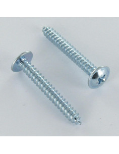Parafuso de chapa cabeça de cogumelo Pozi 4,8X38 Aço zinco branco