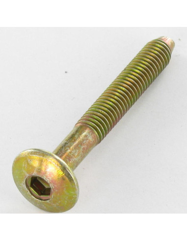 PARAFUSO cabeça de cogumelo hexagonal oca M6X47 roscado sobre 32 perno cónico Dicromato