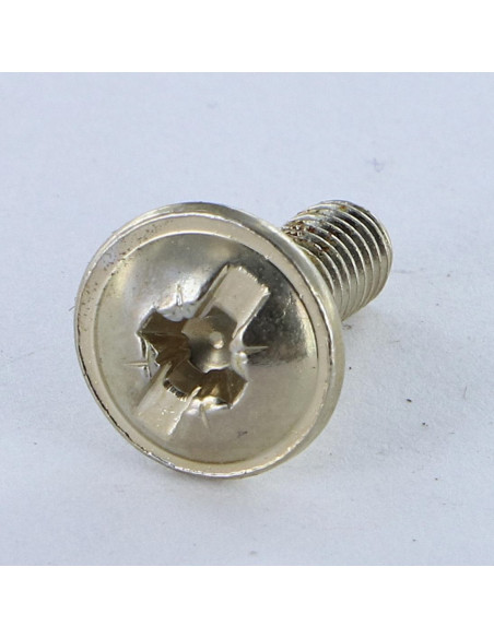PARAFUSO cabeça de cogumelo Fenda Pozi M6X15 Aço niquelado