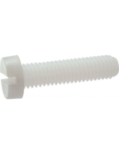 Parafuso de metais cabeça cilíndrica larga sulcada M10X10 natural nylon