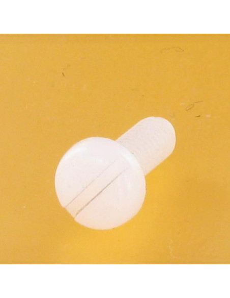 Parafuso de metais cabeça cilíndrica larga sulcada M10X10 natural nylon