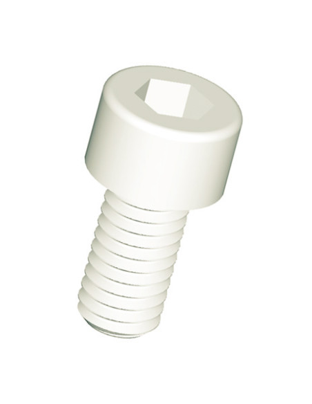 Parafuso de metais Parafuso cabeça oca sextavada chave de 6 M8X12 natural nylon