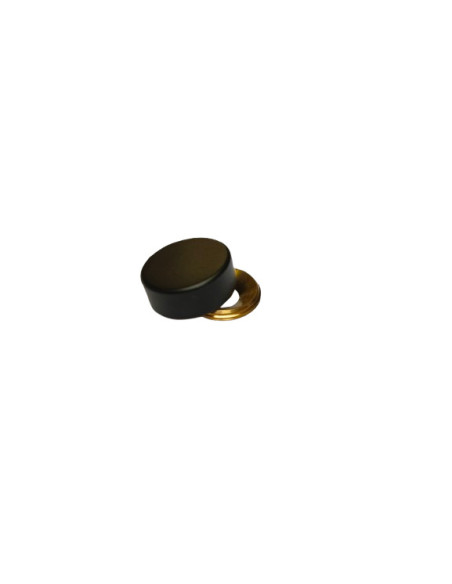 Tampa de proteção cilíndrica ou tapa parafuso (1 tampa de proteção e 1 anilha de parafuso) Bronze negro diâmetro