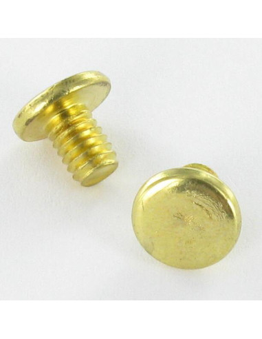 OBTURADOR Aço latonado cabeça plana 4,3X6 TORX T9