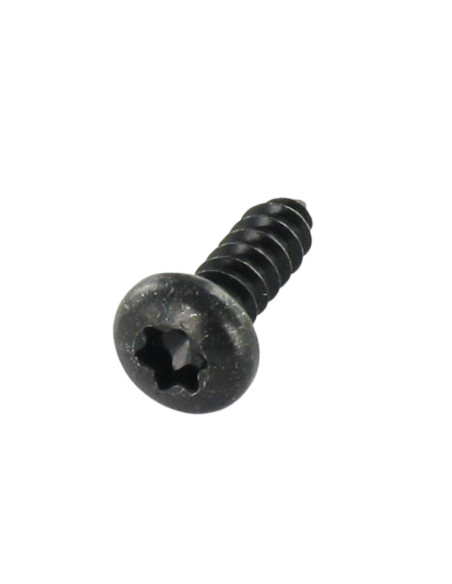 Parafuso de chapa cabeça cilíndrica TORX T10 2,9 x 6,5 Aço zinco preto