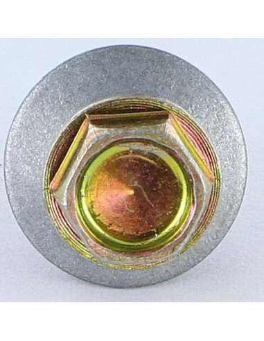 Autoperfurante cabeça hexagonal 4,8X19 Arruela estanque com junta de neopreno epdm Dicromato