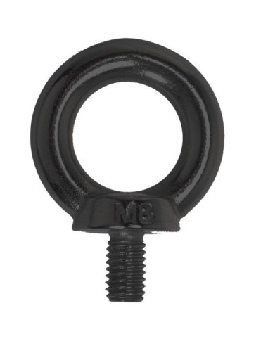 Parafuso Anilha de elevação M8X36 Aço inoxidável A4 Preto