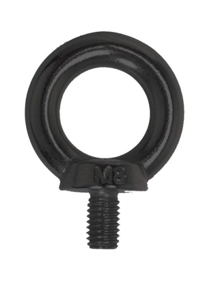 Parafuso Anilha de elevação M8X36 Aço inoxidável A4 Preto